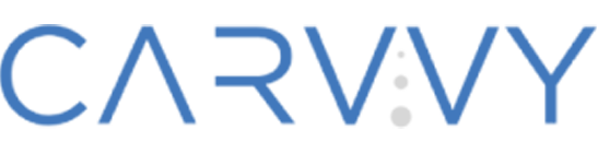Carvvy Auto Group, LLC