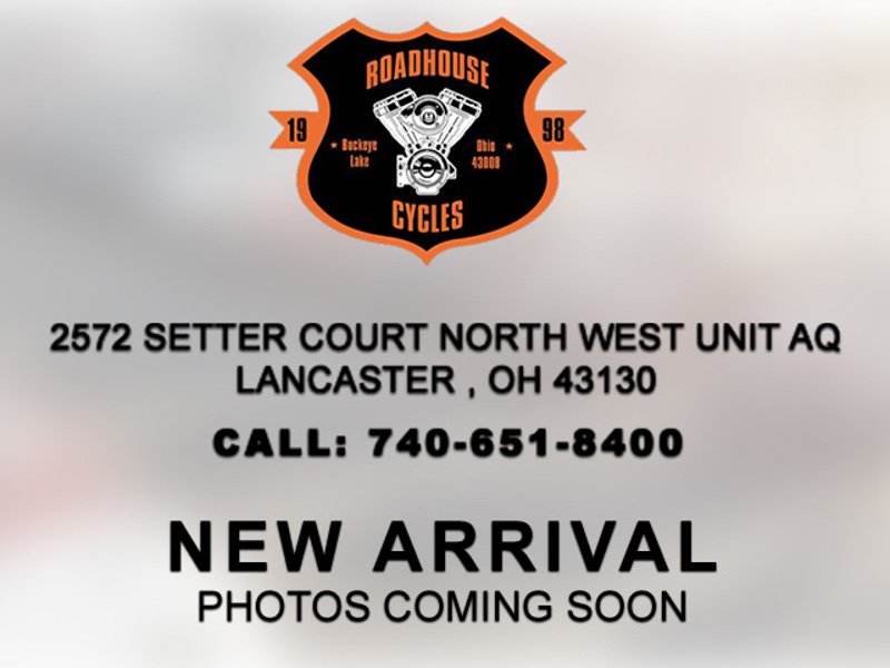 Harley-Davidson FLSTFI  2003