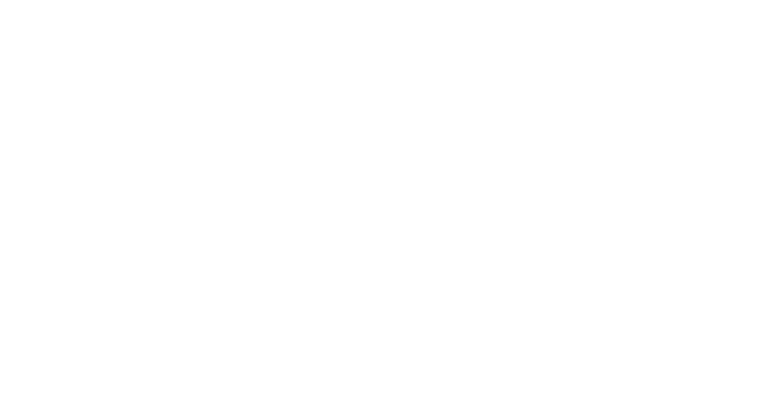 Alliance Automotive LLC