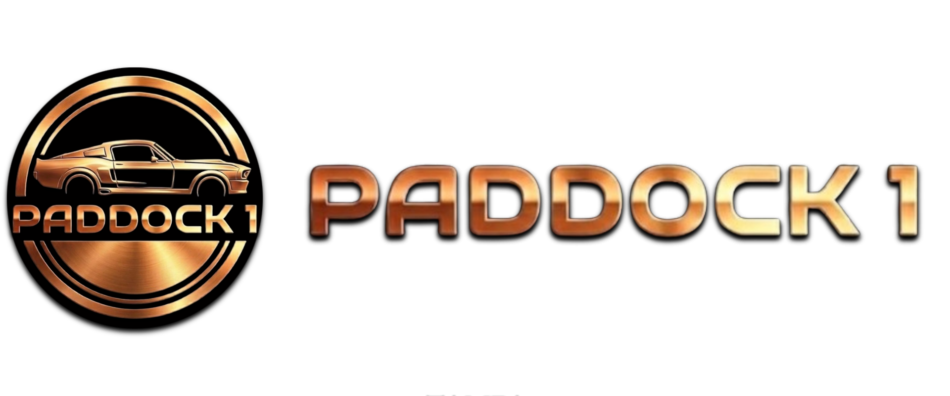 PADDOCK1