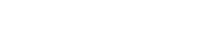 Toccoa Auto Mall LLC
