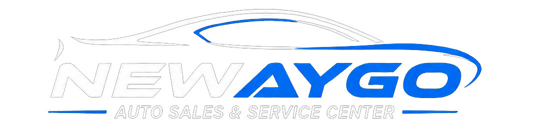 Newaygo Auto Sales And Service Center