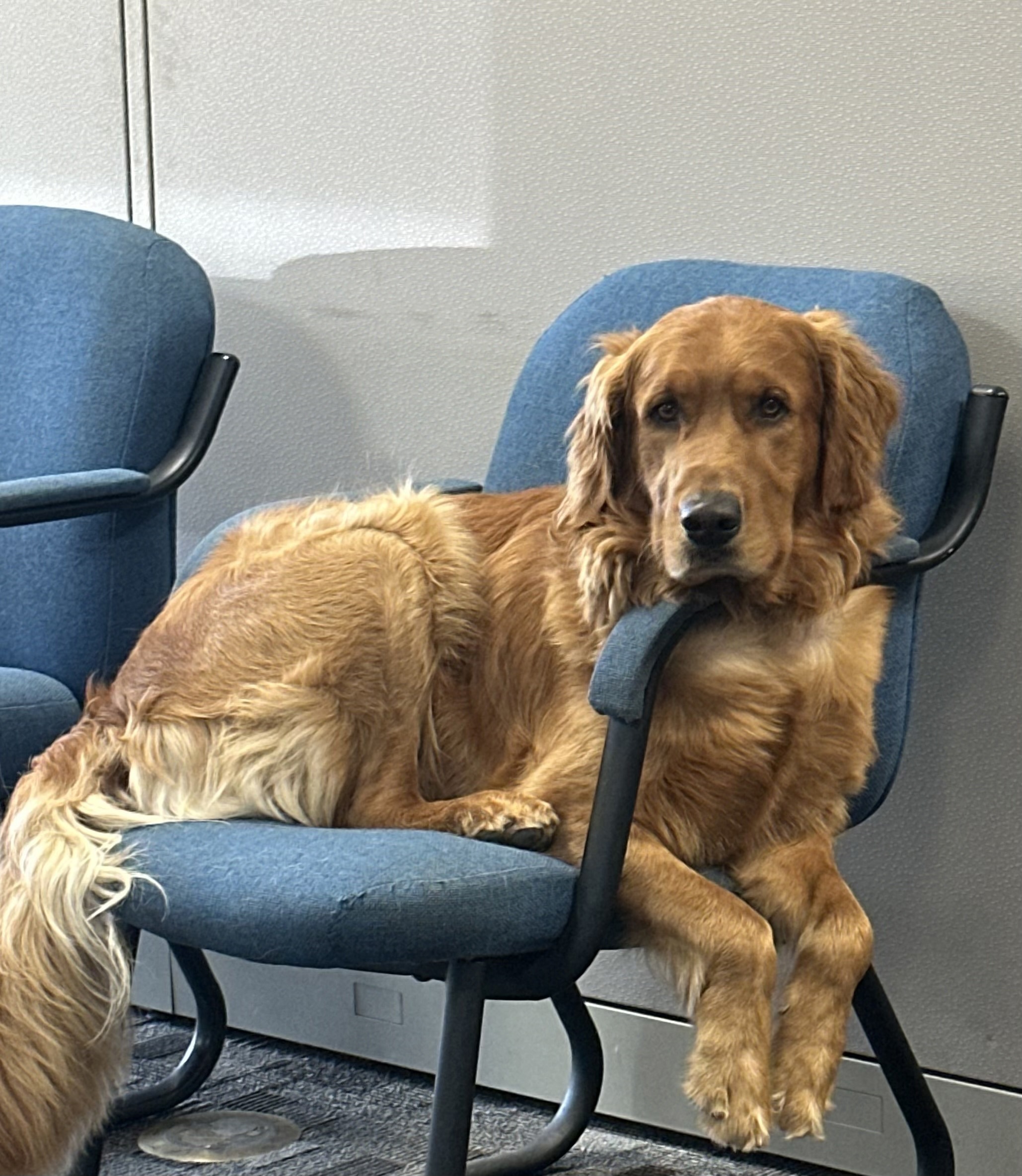 Staff Photo