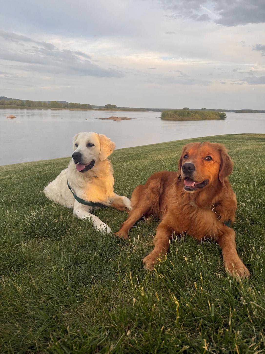 Staff Photo