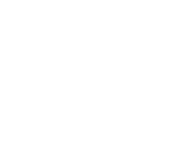 Horseless Carriage