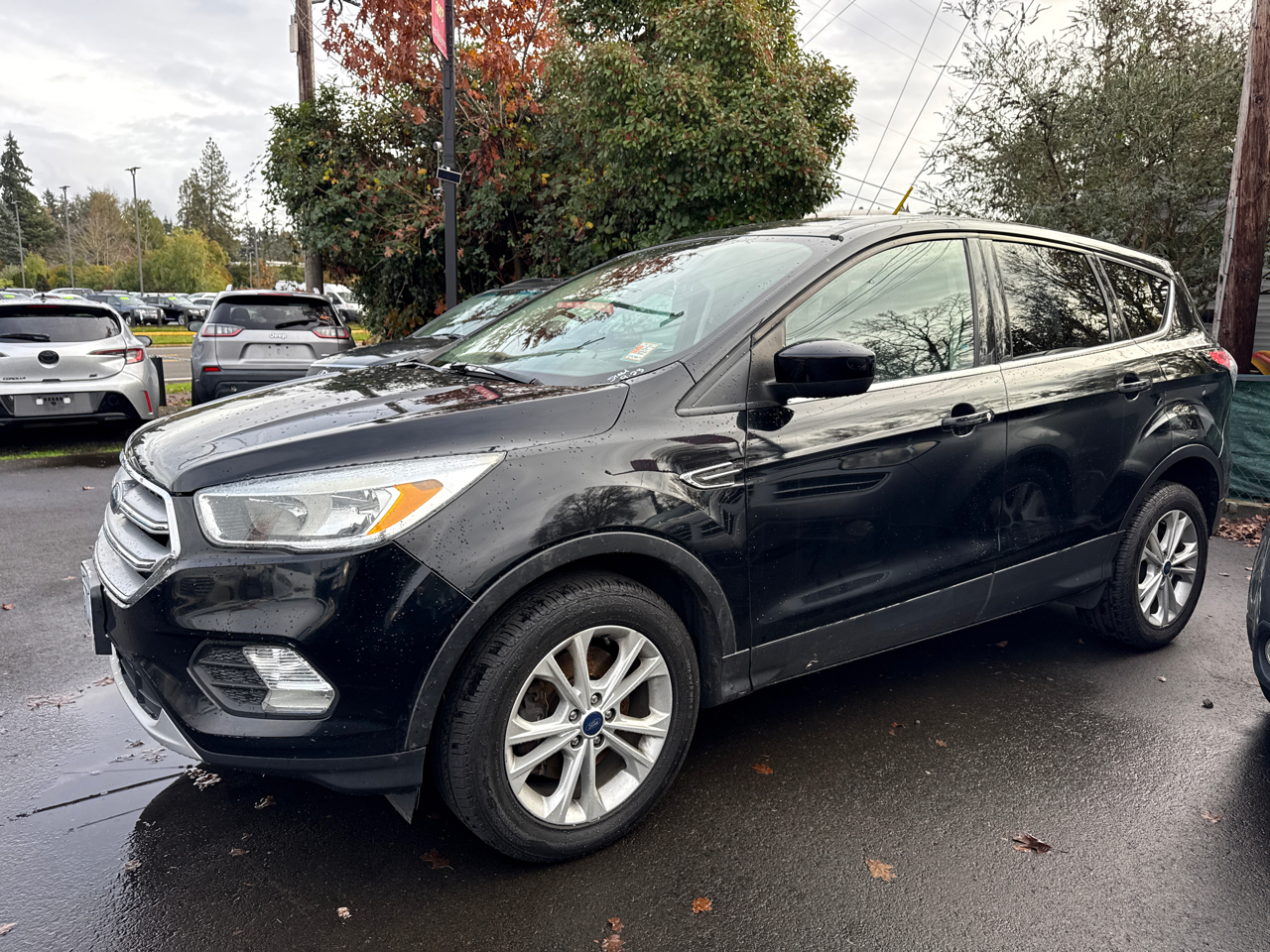 2017 Ford Escape SE's photo