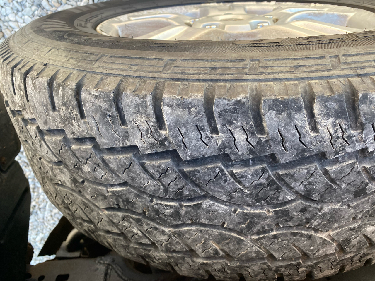 Toyota 2WD Pickups  2010 Toyota 2WD Pickups  2010