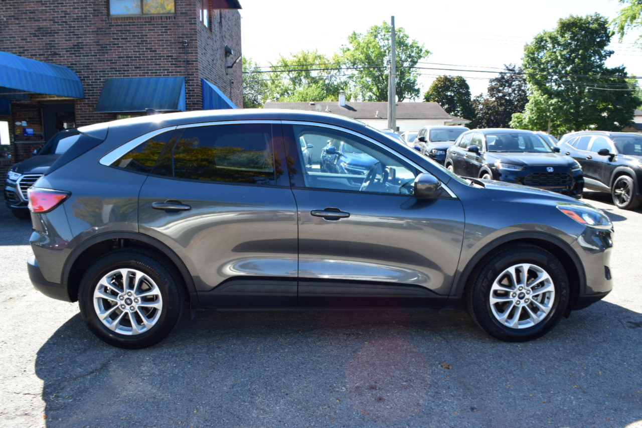 2020 Ford Escape SE photo 4