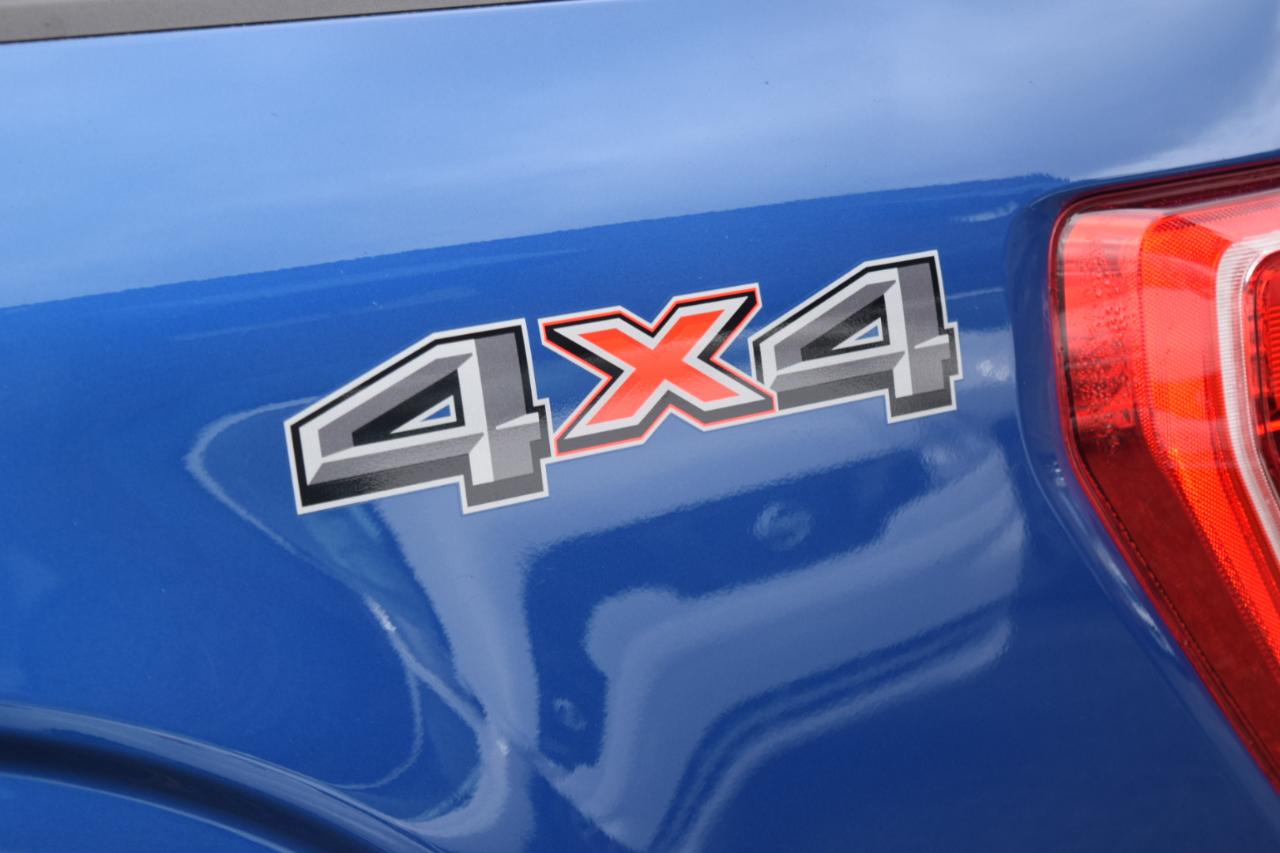 Ford F-150 XLT SuperCrew 5.5-ft. Bed 4WD 2023