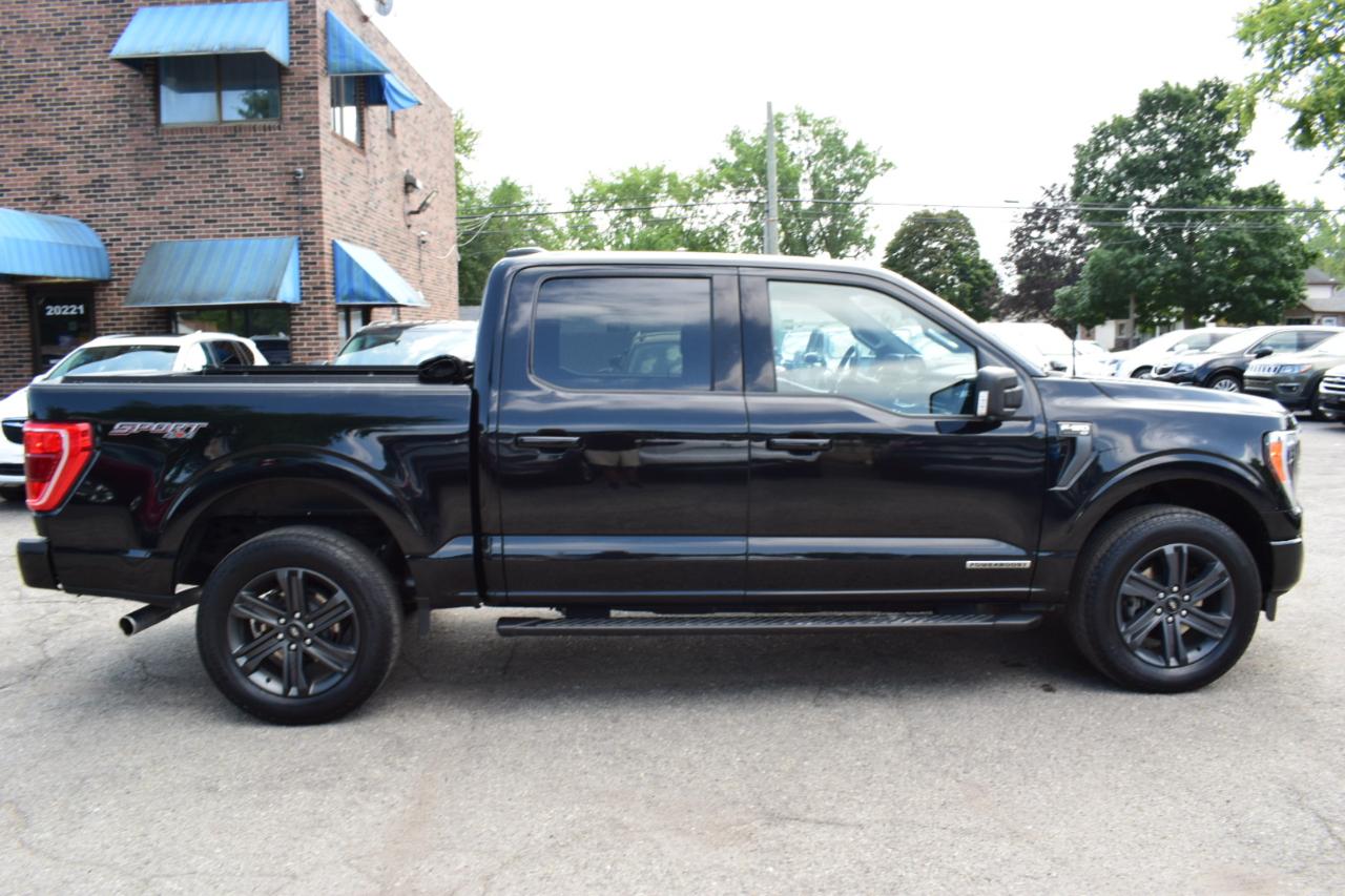 Ford F-150 XLT 4WD SuperCrew 5.5' Box 2023