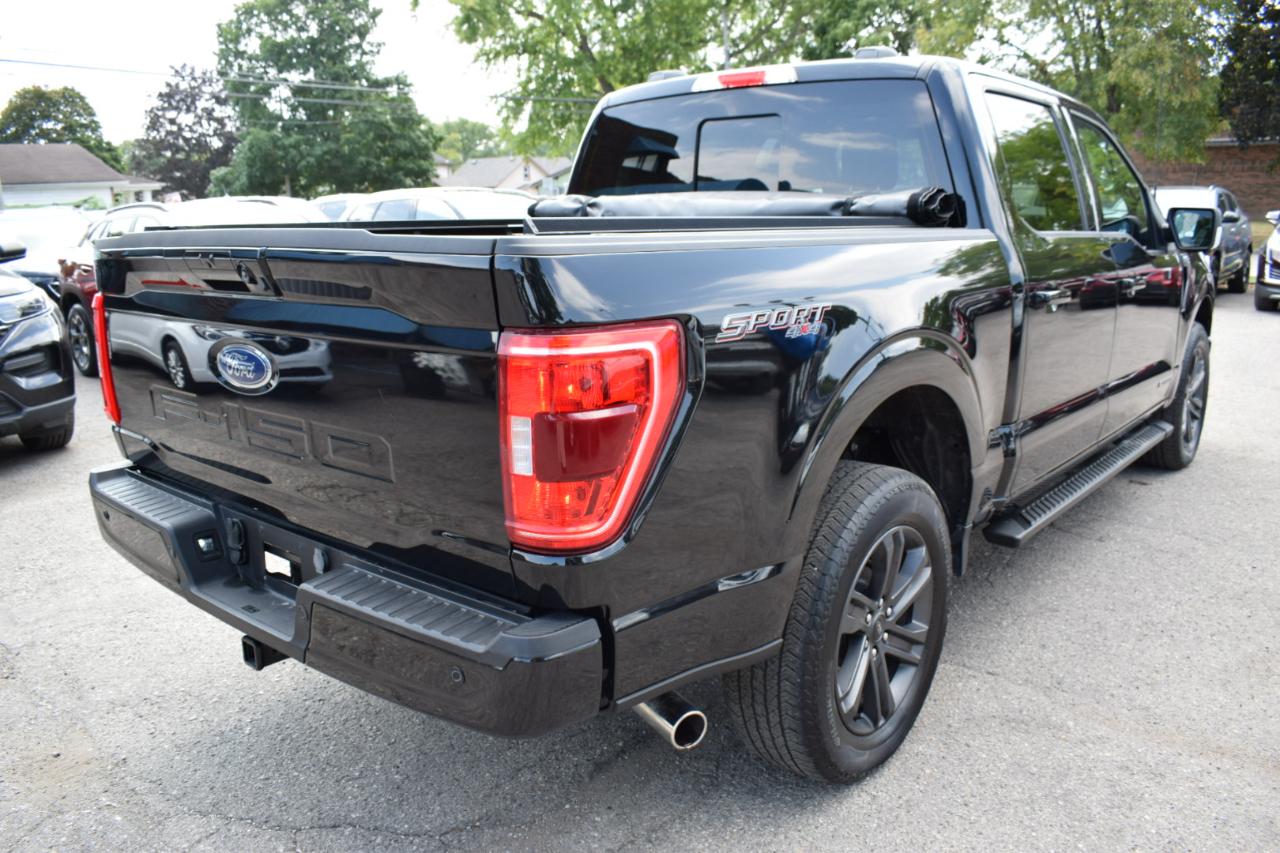 Ford F-150 XLT 4WD SuperCrew 5.5' Box 2023