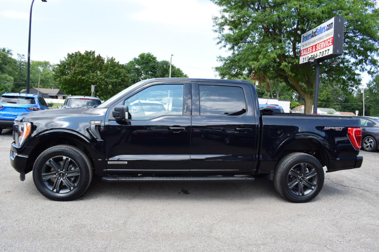 Ford F-150 XLT 4WD SuperCrew 5.5' Box 2023