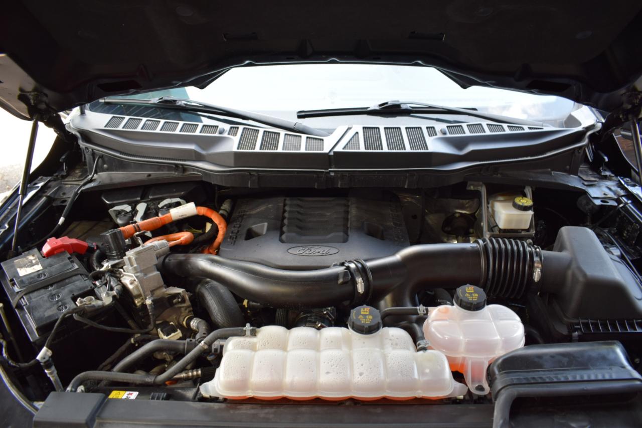 Ford F-150 XLT 4WD SuperCrew 5.5' Box 2023