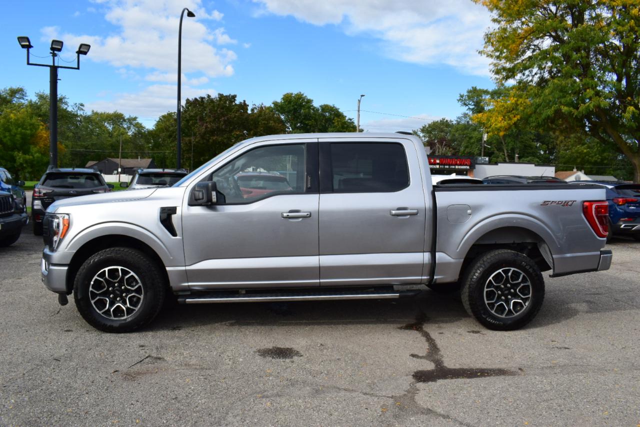 Ford F-150 XLT 4WD SuperCrew 5.5' Box 2023