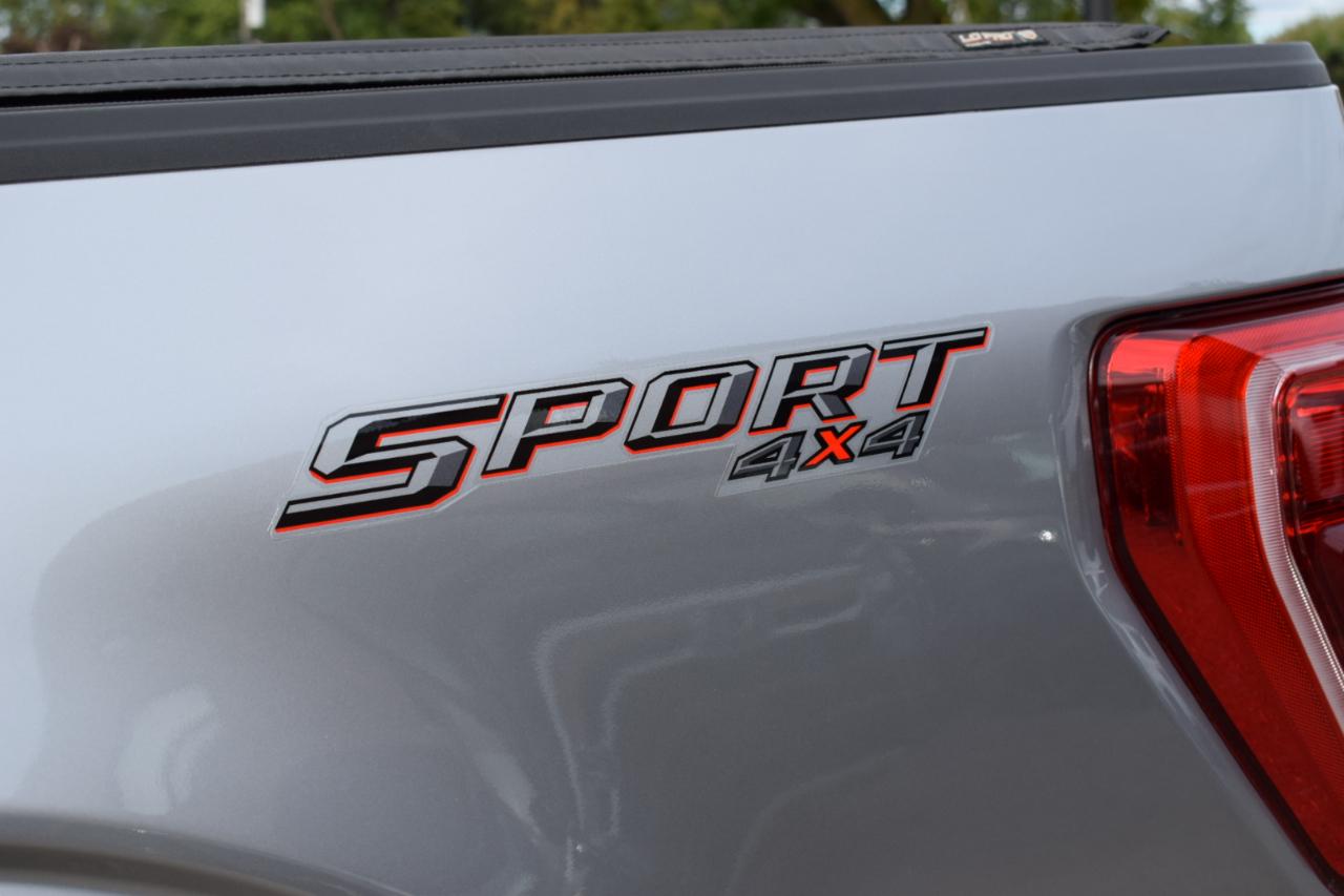 Ford F-150 XLT 4WD SuperCrew 5.5' Box 2023