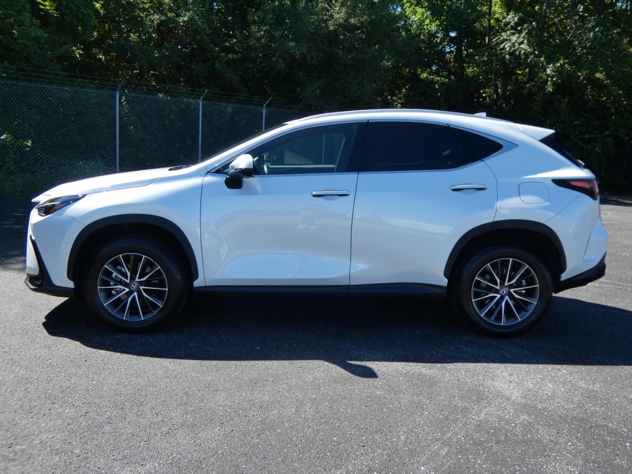 Lexus NX NX 350 Premium AWD 2024