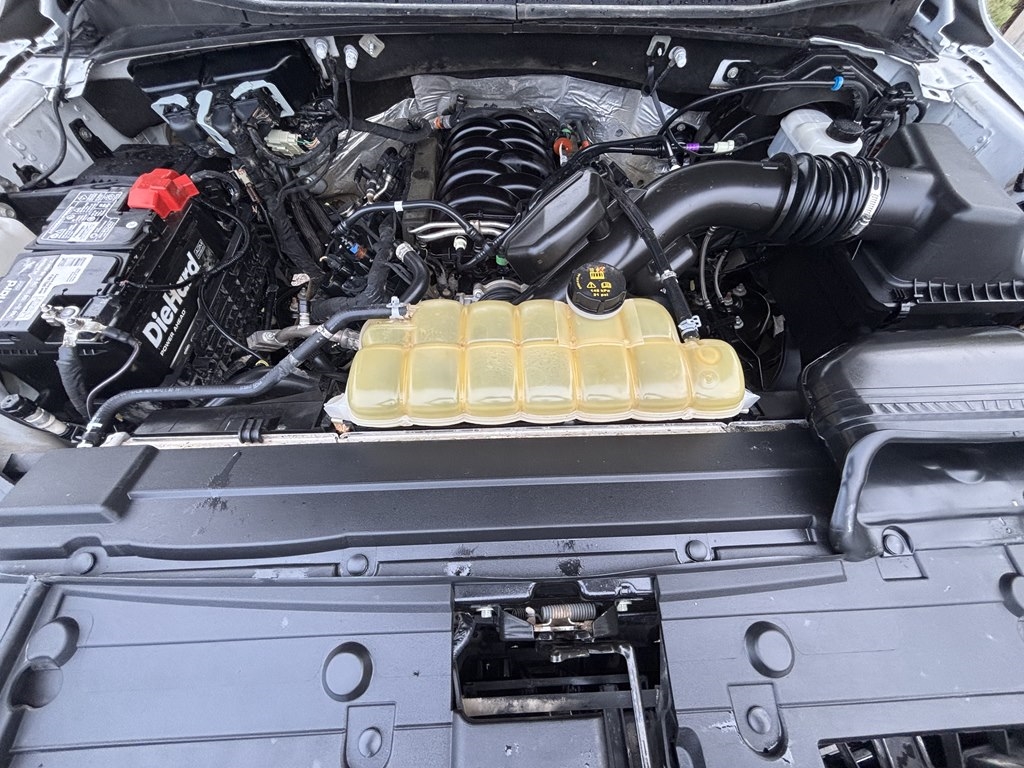 Ford F-150 XLT 4WD SuperCrew 5.5' Box 2019