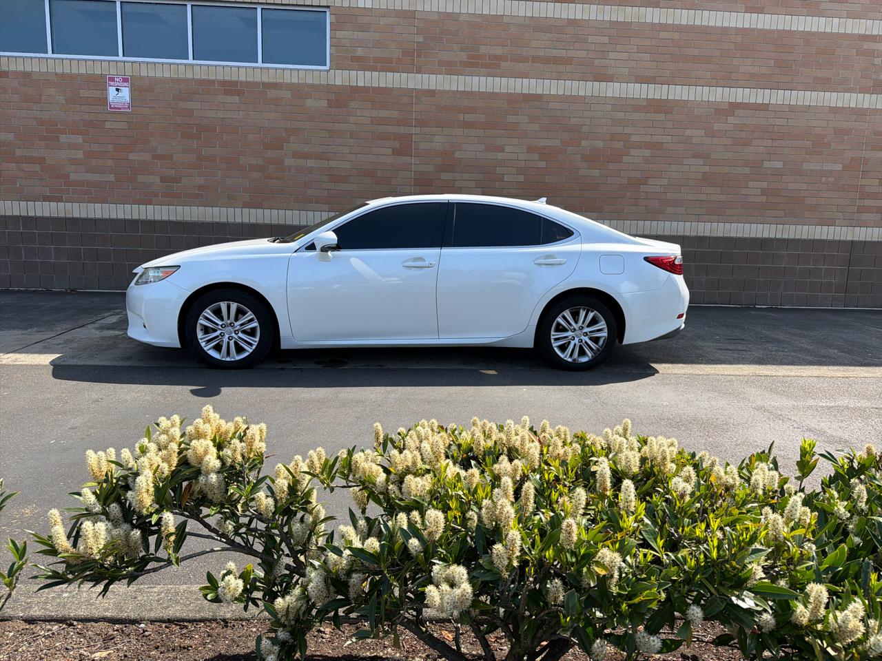 Lexus ES 350 Sedan 2014