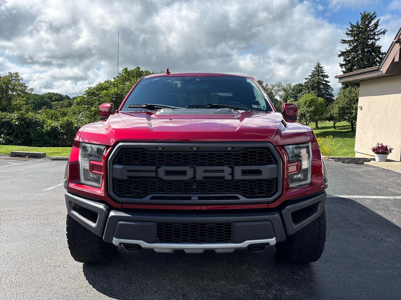 Ford F-150 Raptor 4WD SuperCrew 5.5' Box 2019