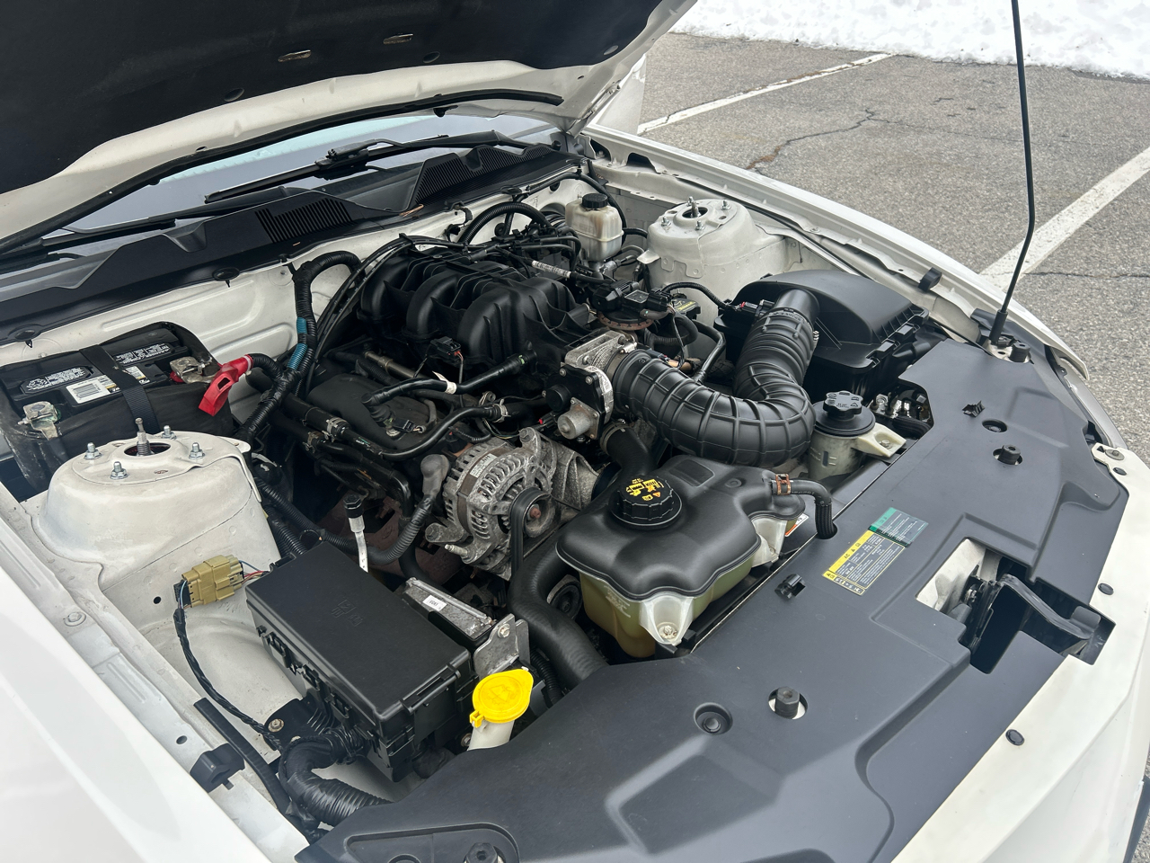 Ford Mustang V6 Coupe 2010