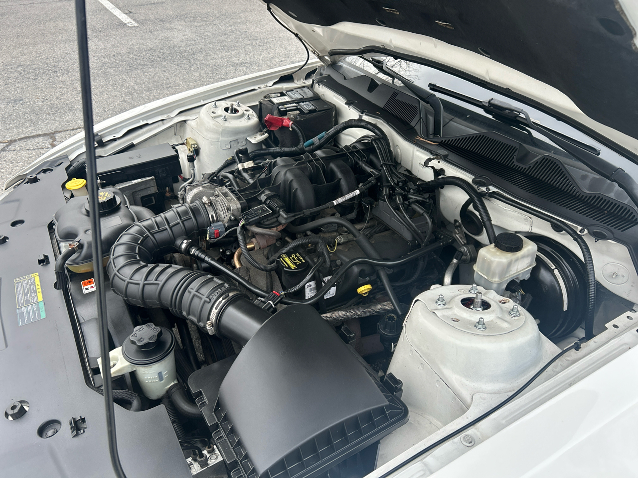 Ford Mustang V6 Coupe 2010