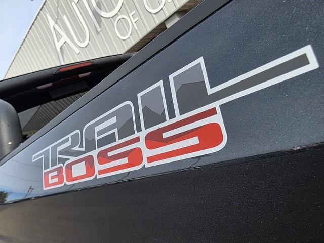 Chevrolet Silverado 1500 4WD Crew Cab 147" LT Trail Boss 2019