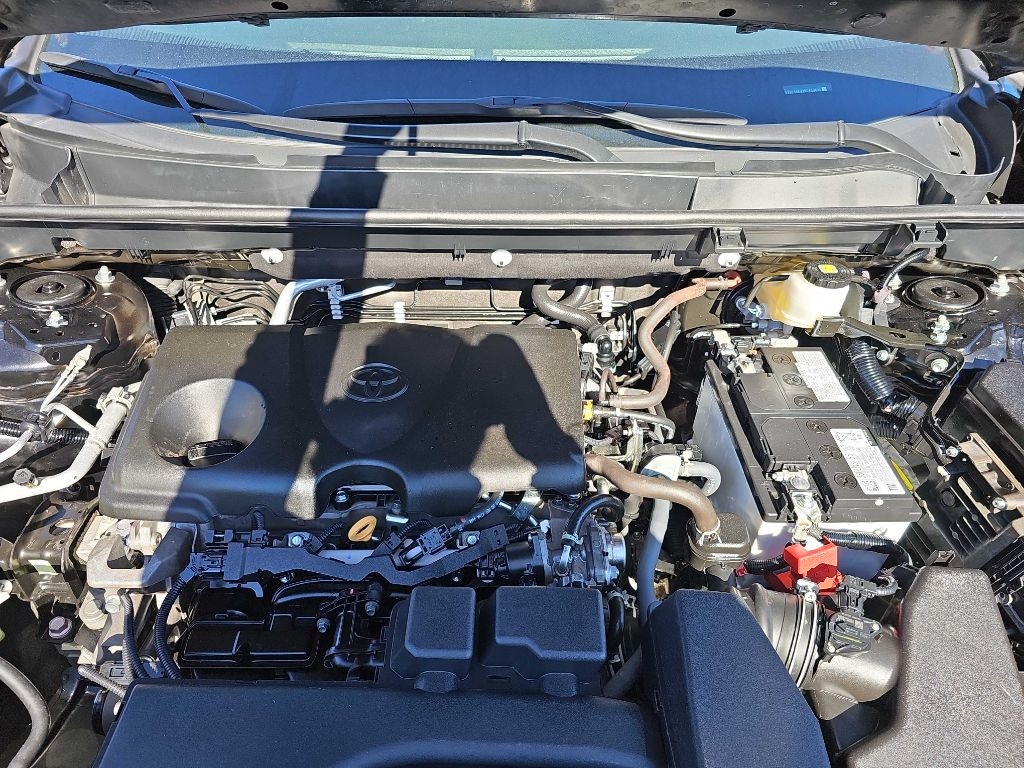 Toyota RAV4 XLE AWD (Natl) 2024