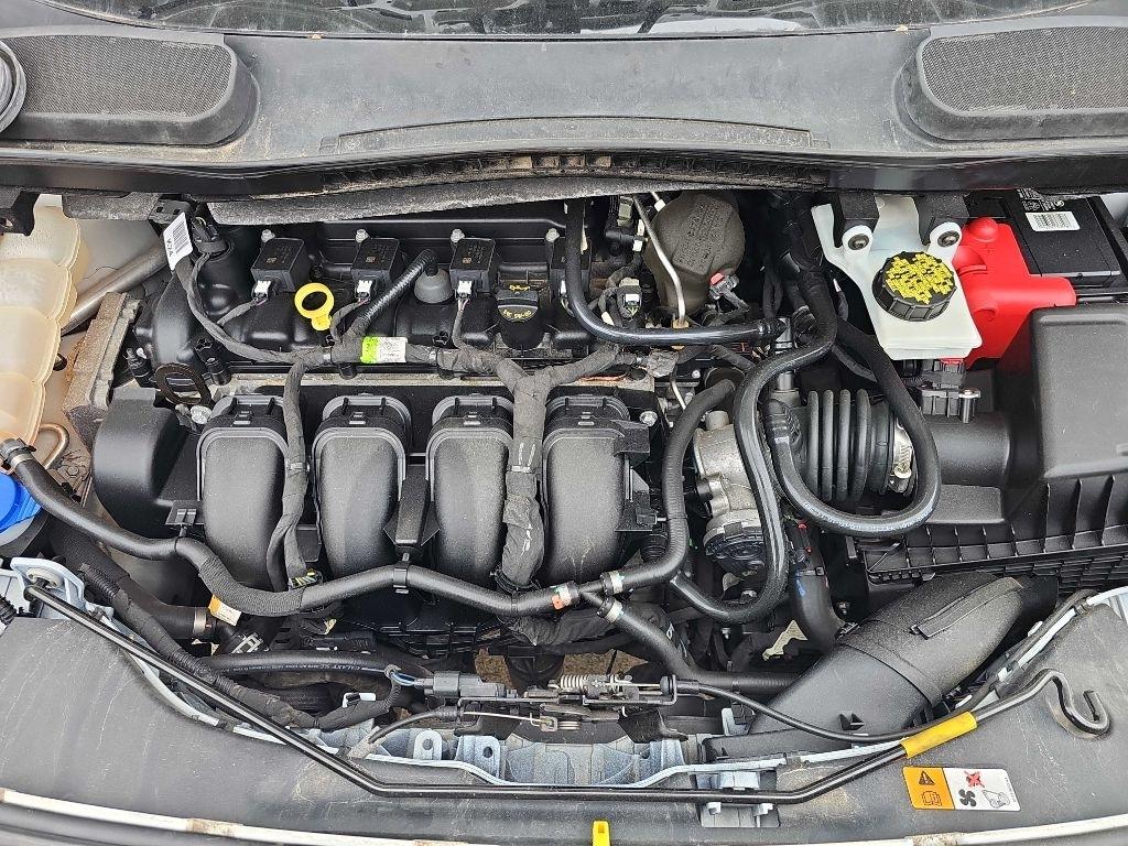 Ford Transit Connect Van XL LWB w/Rear Symmetrical Doors 2019