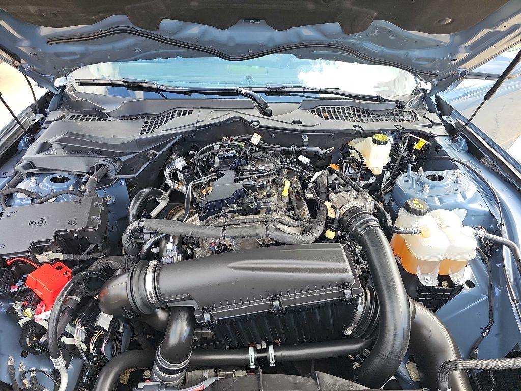 Ford Mustang EcoBoost Fastback 2025