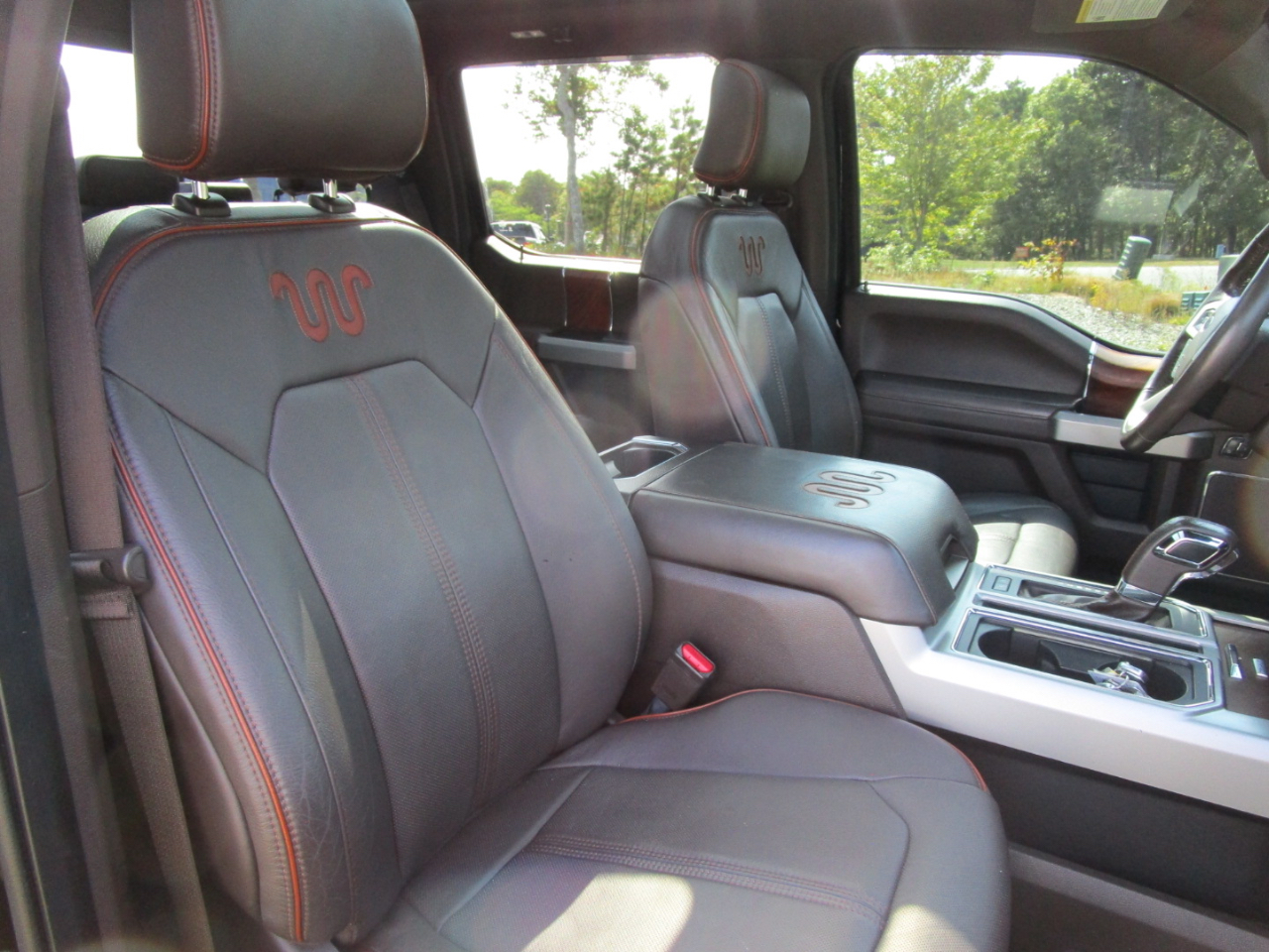 2016 Ford F-150 King Ranch photo 10