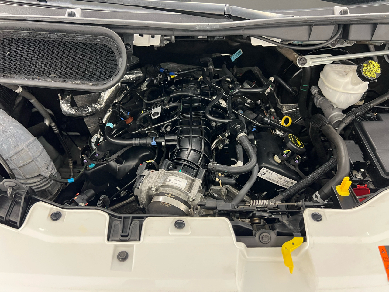 Ford Transit Crew Van T-350 148" Low Rf 9250 GVWR RWD 2023