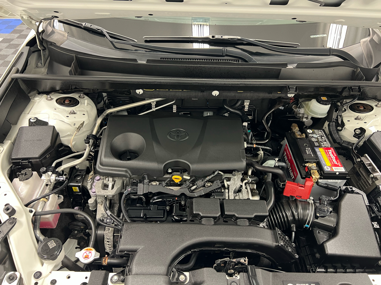 Toyota RAV4 Limited FWD (Natl) 2019