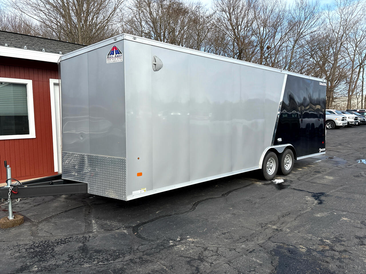 Haul About Panther  2022