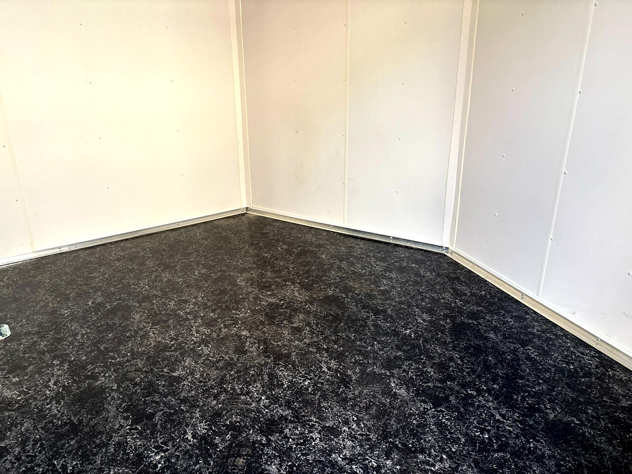 Haul About Panther  2022