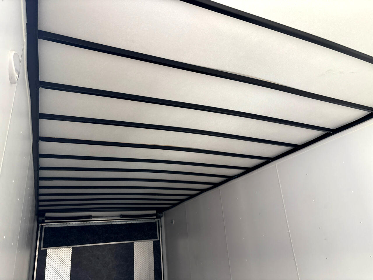 Haul About Panther  2022