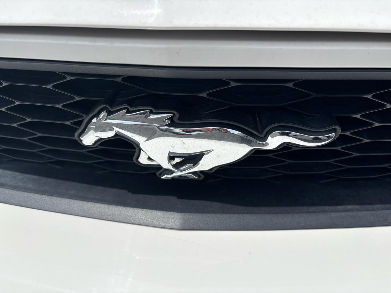 Ford Mustang  2010