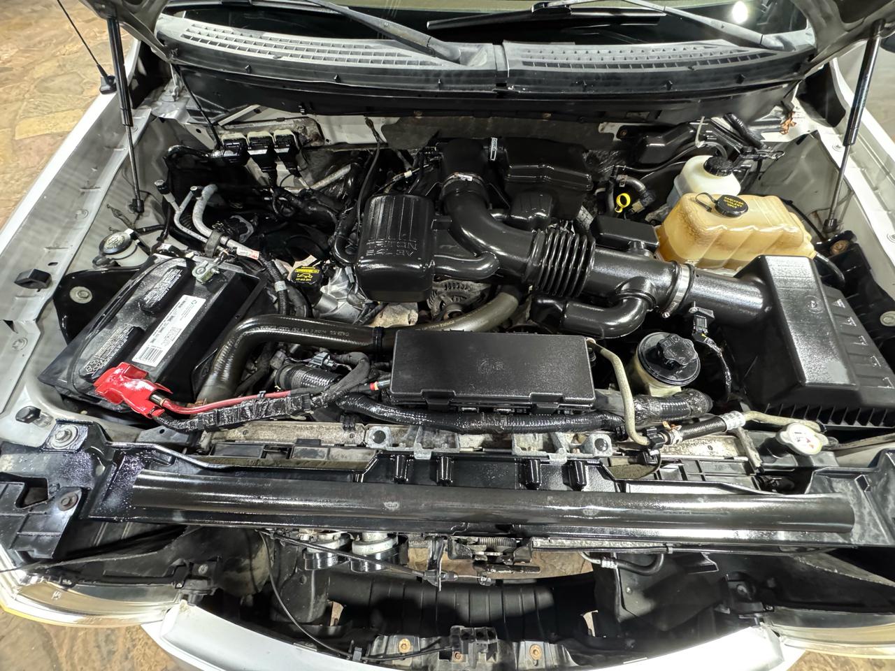 Ford F-150 4WD SuperCrew 145" Platinum 2010