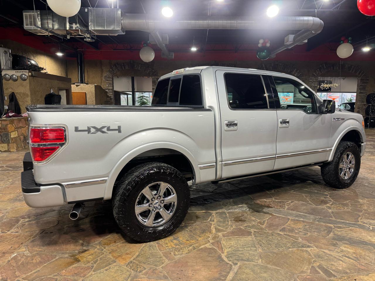 Ford F-150 4WD SuperCrew 145" Platinum 2010