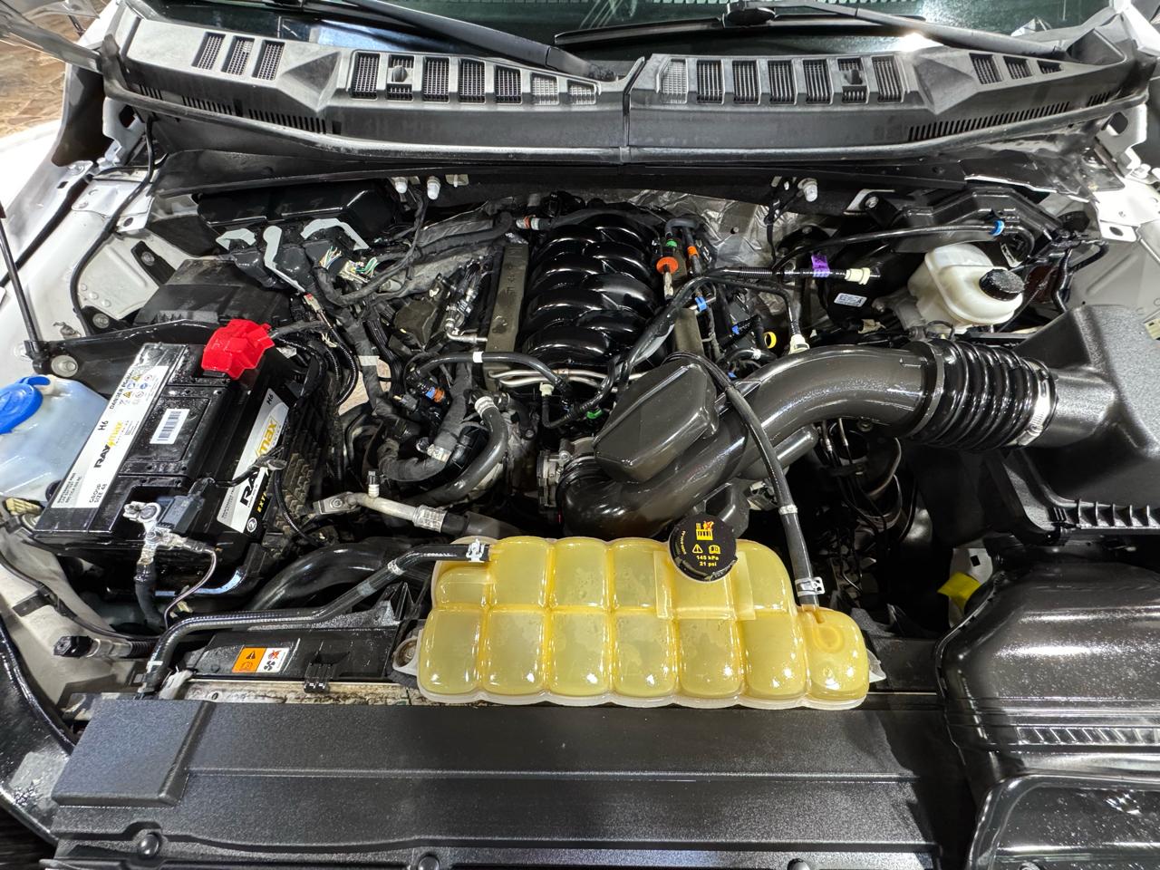 Ford F-150 2WD SuperCrew 145" XL 2019