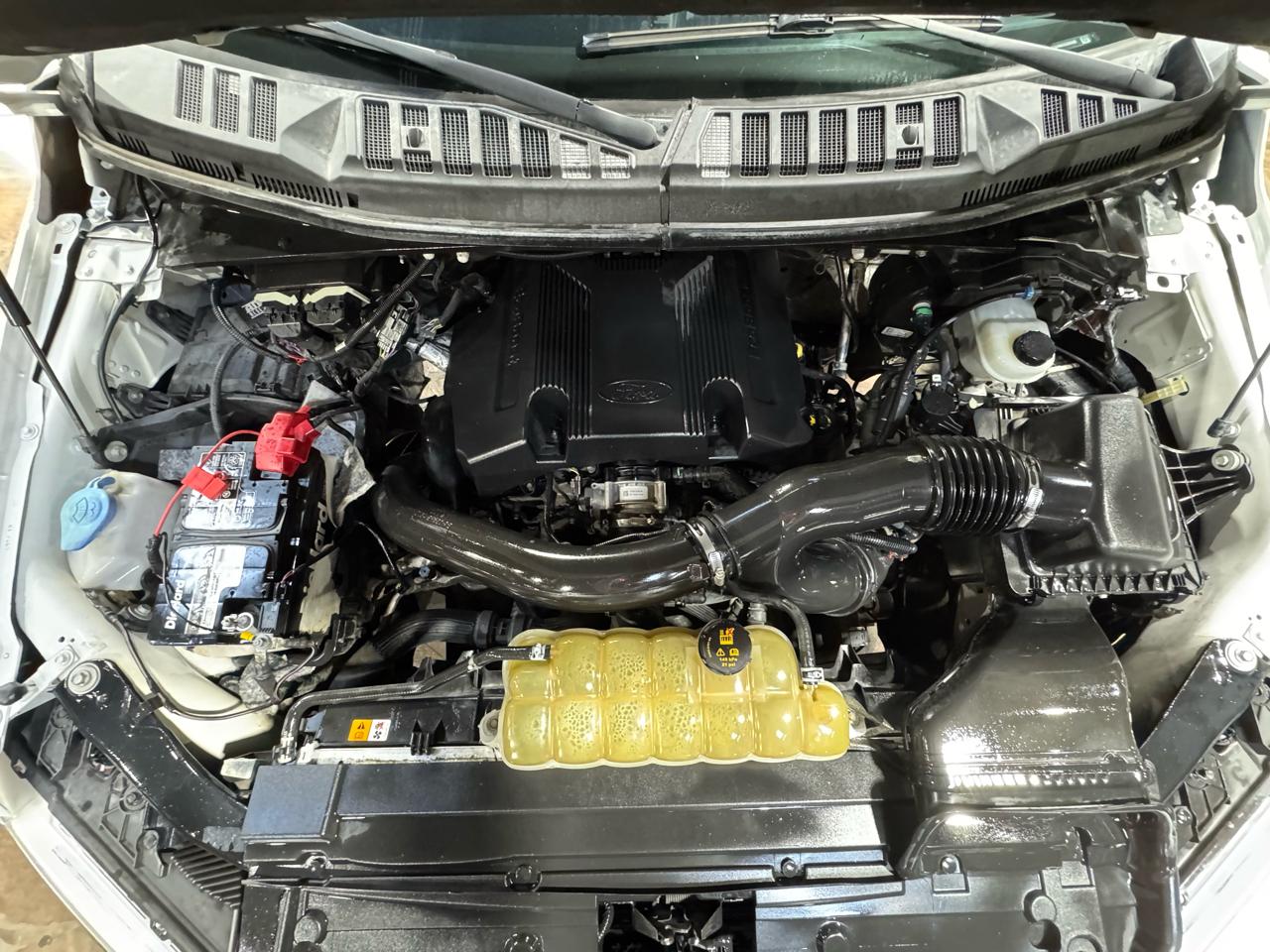 Ford F-150 XLT 4WD SuperCrew 5.5' Box 2019