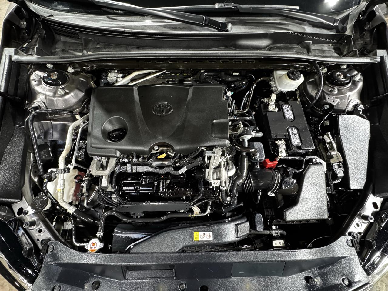 Toyota Camry XLE Auto (Natl) 2019