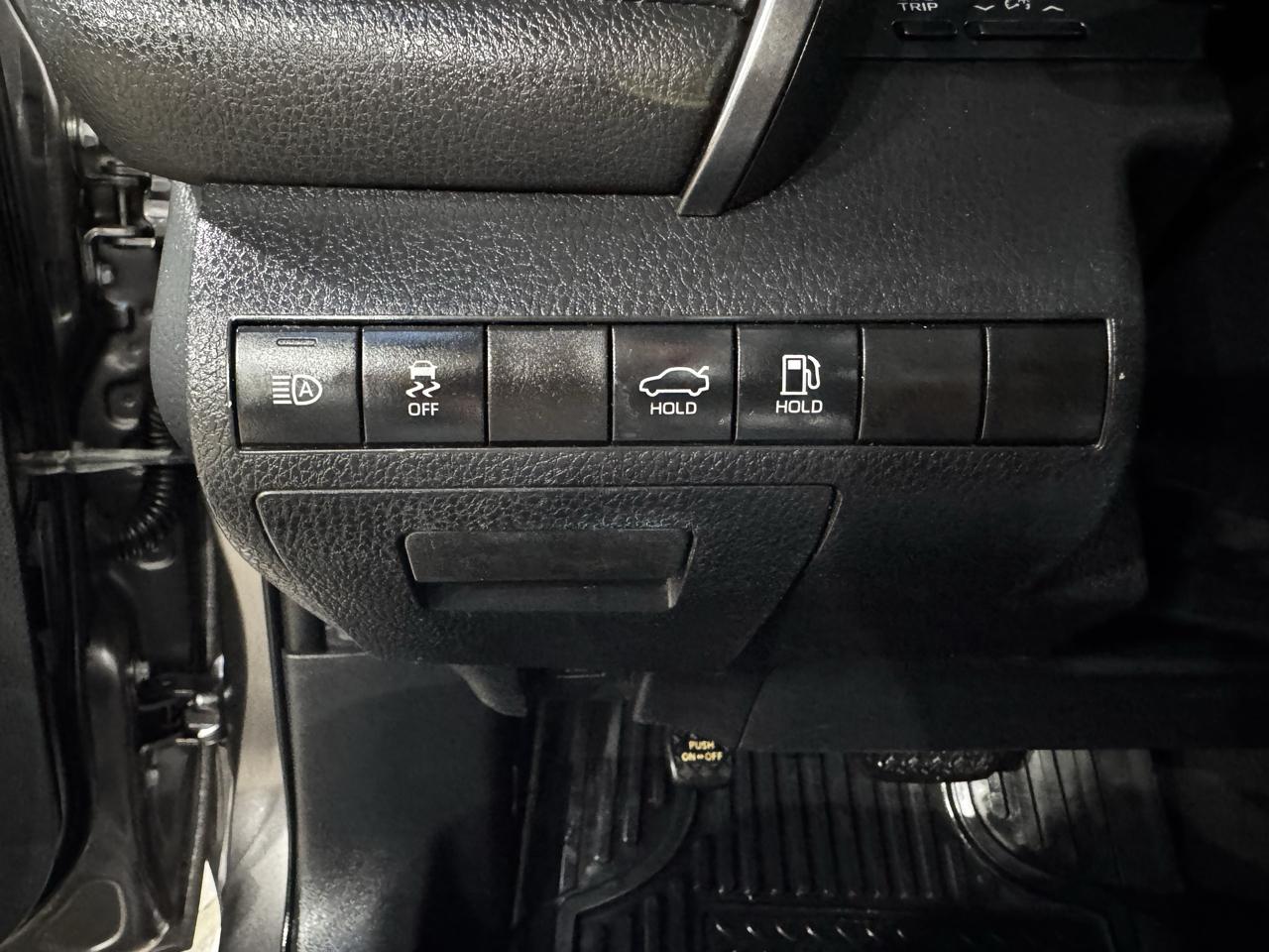 Toyota Camry XLE Auto (Natl) 2019