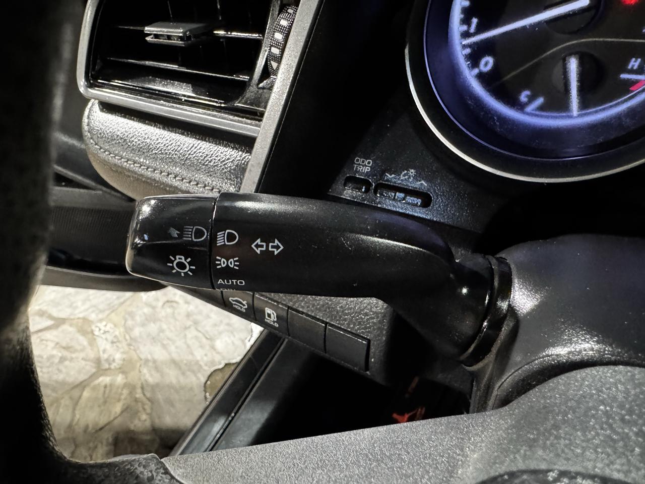 Toyota Camry XLE Auto (Natl) 2019