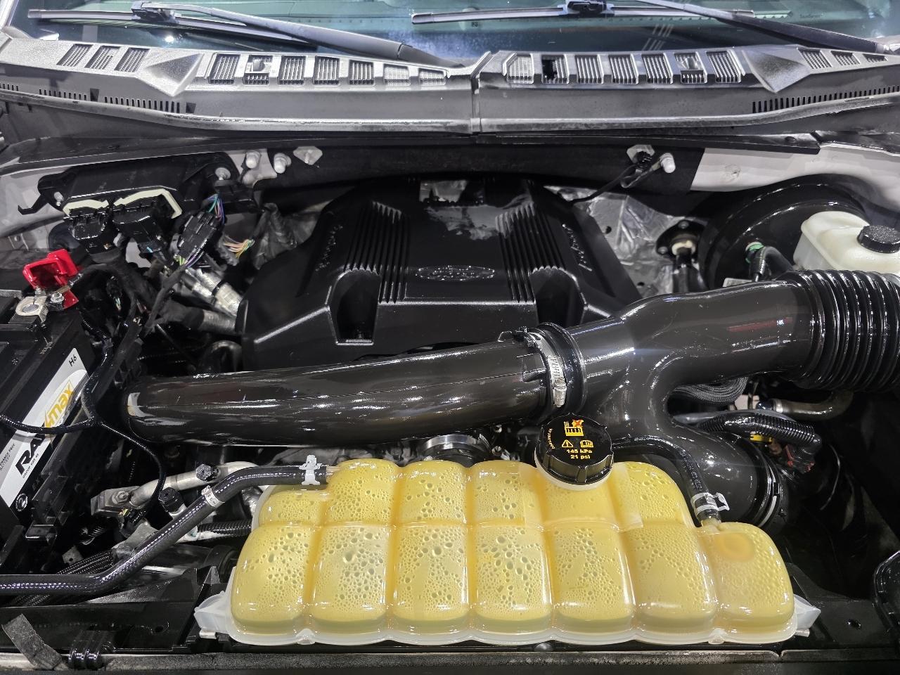 Ford F-150 2WD SuperCrew 145" Platinum 2019