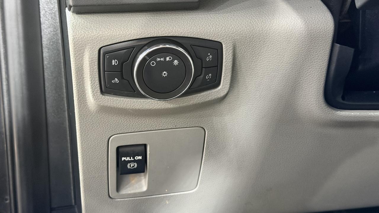 Ford F-150 2WD Reg Cab 122.5" XLT 2019
