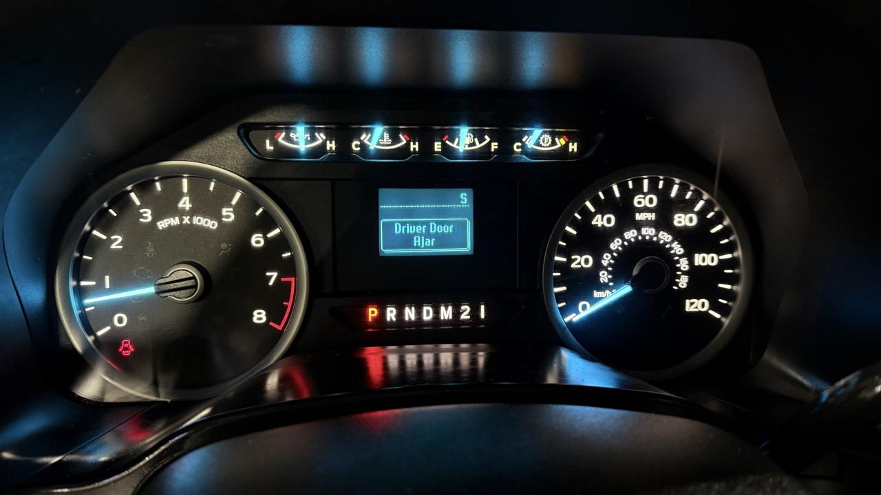 Ford F-150 2WD Reg Cab 122.5" XLT 2019