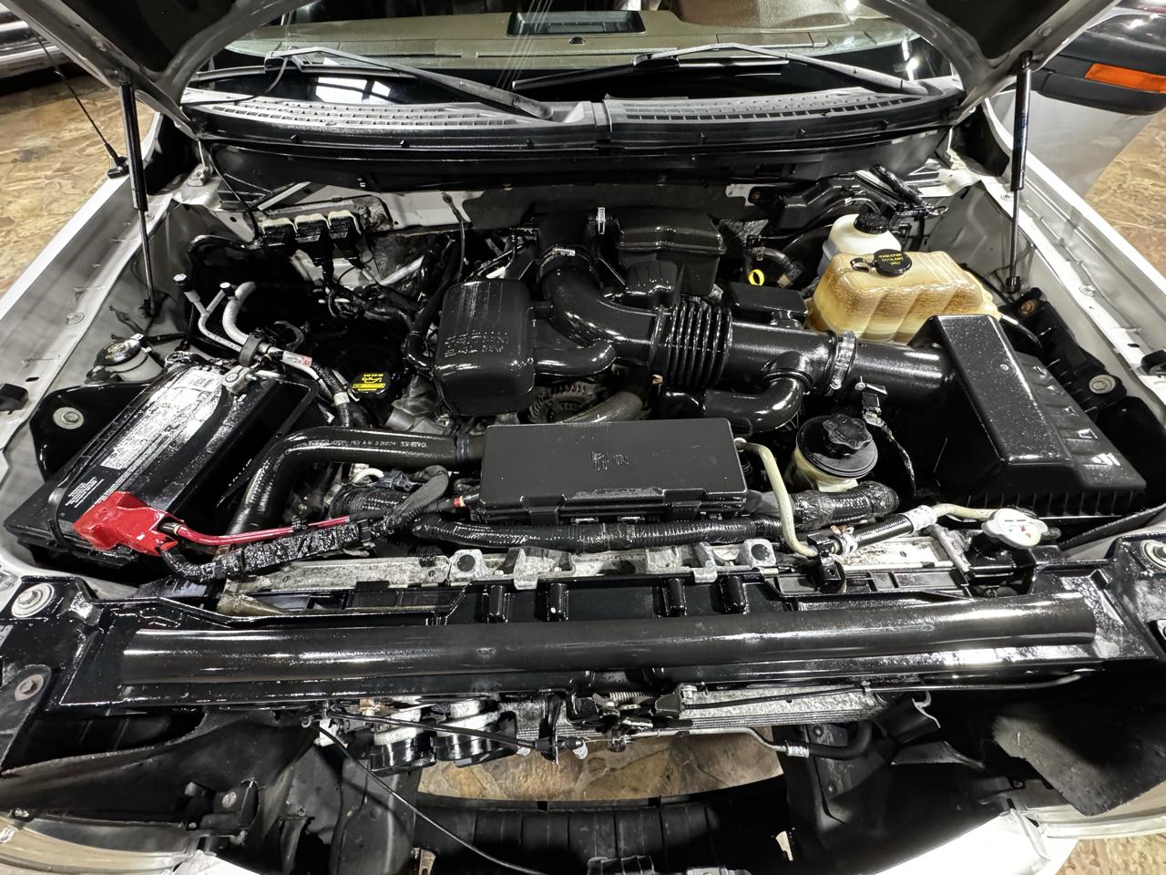 Ford F-150 Platinum 4WD SuperCrew 5.5' Box 2010
