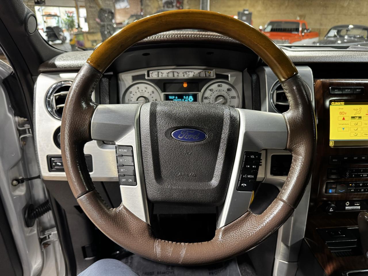 Ford F-150 Platinum 4WD SuperCrew 5.5' Box 2010