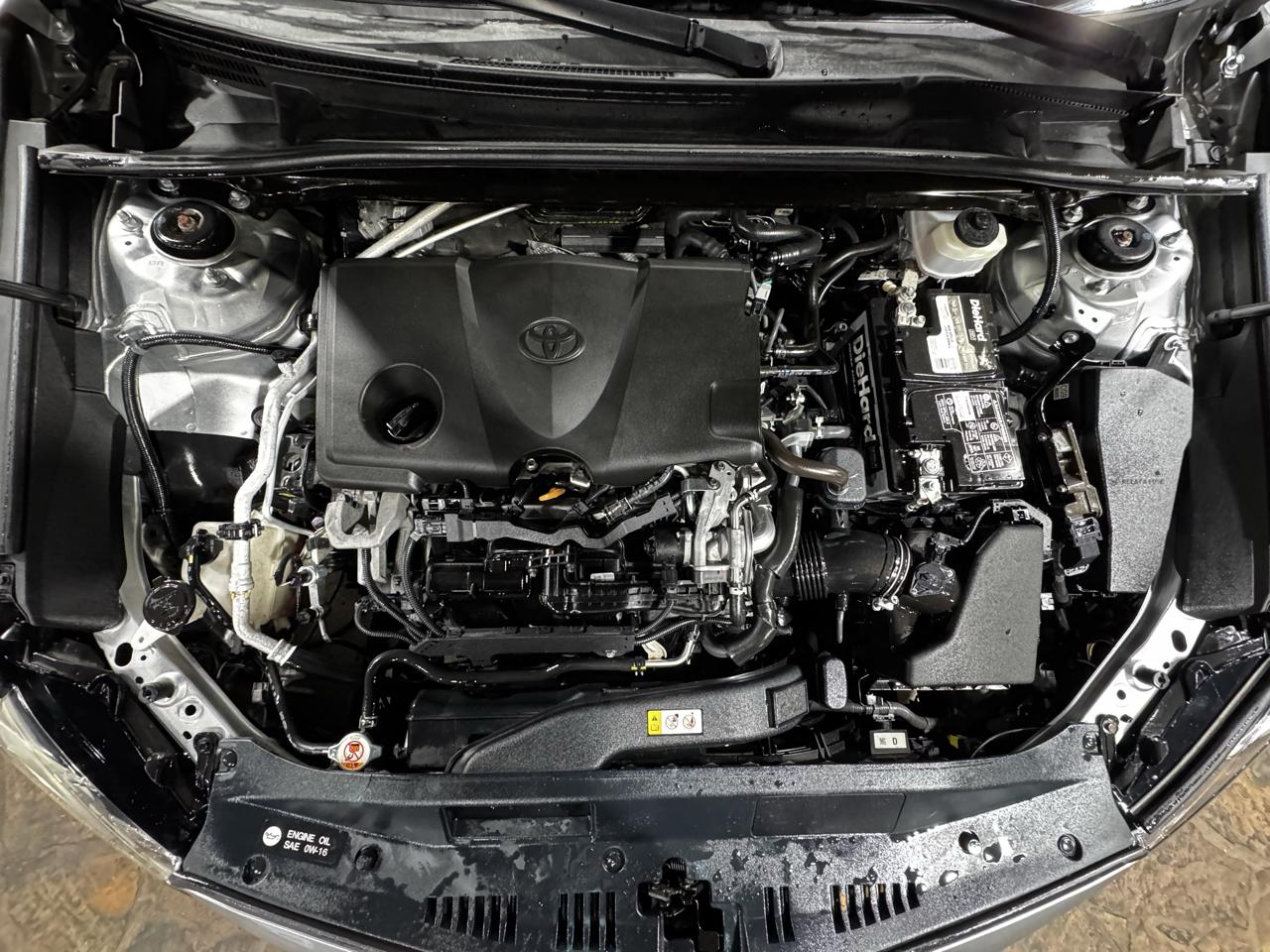 Toyota Camry XLE Auto (Natl) 2019