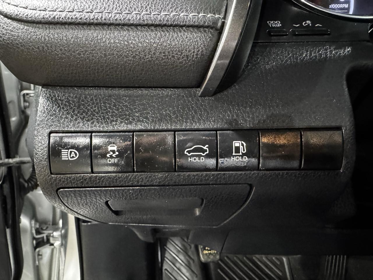 Toyota Camry XLE Auto (Natl) 2019
